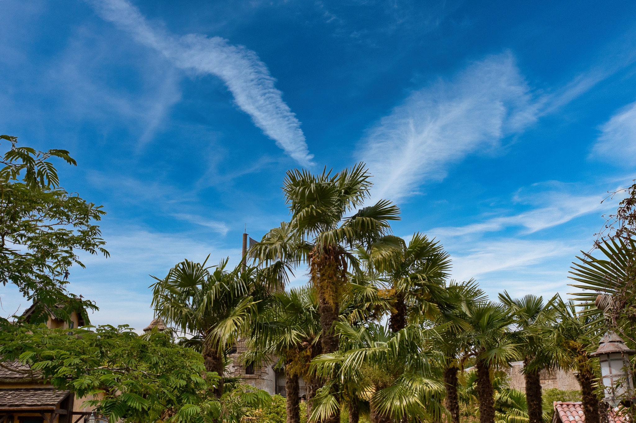 Palm Trees and Buildings with Blue Sky and Clouds at Disneyland Paris, France.