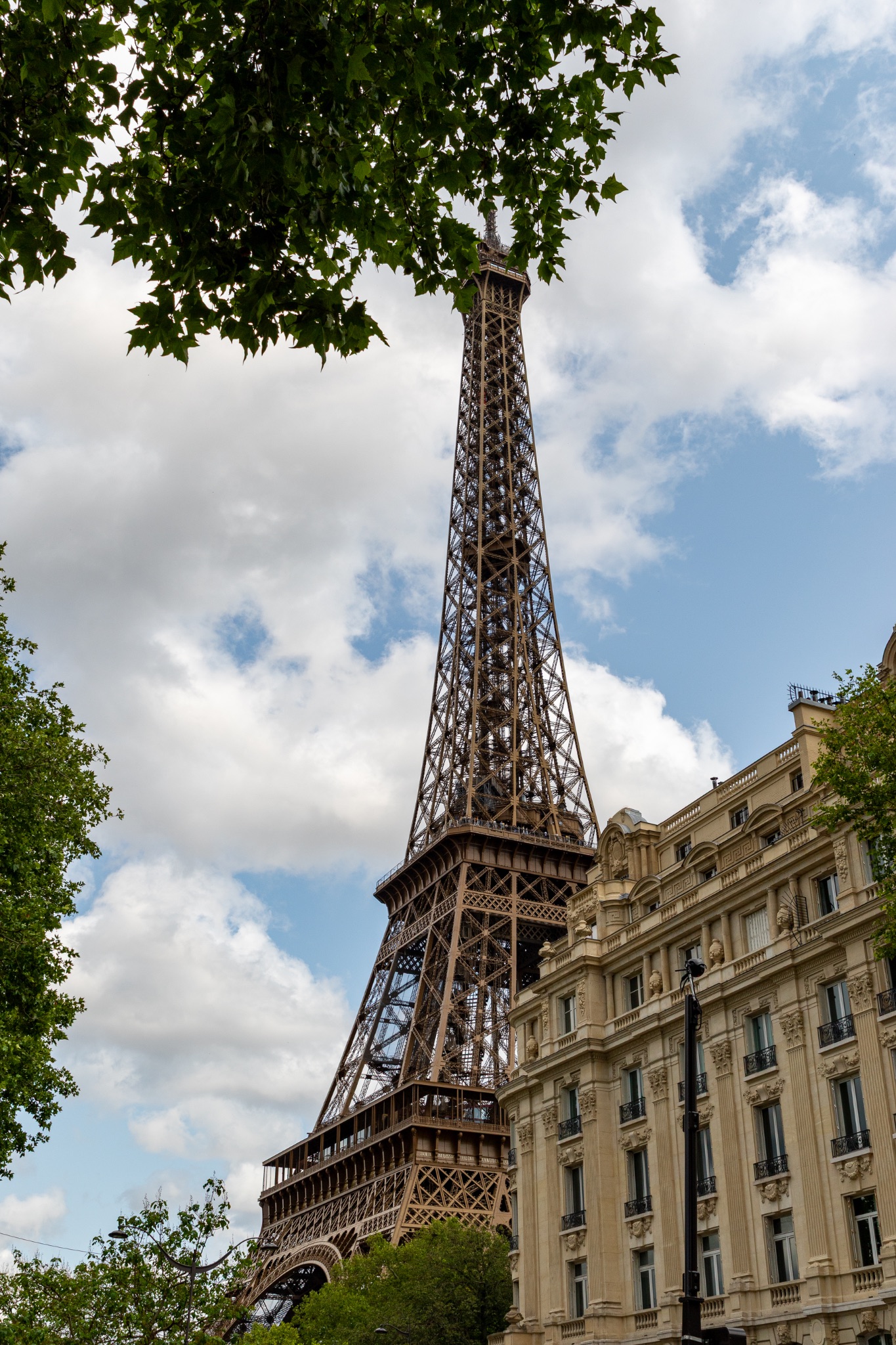 Eiffel Tower View with Trees and Building